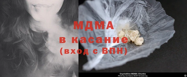 гашик Алексин