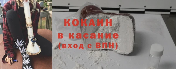 гашик Алексин
