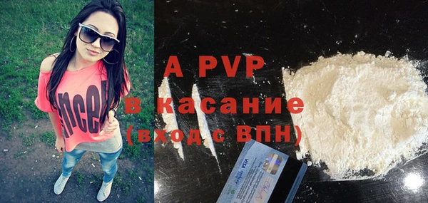 гашик Алексин