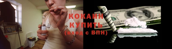 дживик Алзамай
