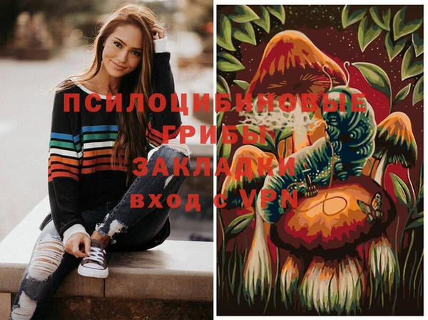 метадон Костерёво