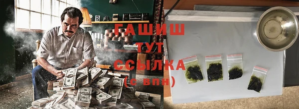 гашик Алексин