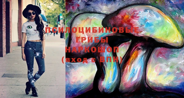 ГАЛЛЮЦИНОГЕННЫЕ ГРИБЫ Алексеевка