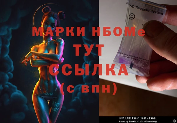 гашик Алексин
