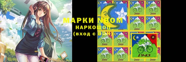 гашик Алексин