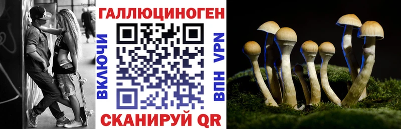 Галлюциногенные грибы Psilocybe  Самара 