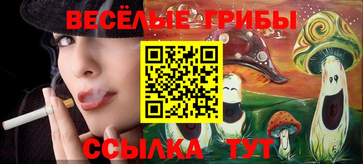 Псилоцибиновые грибы Psilocybe  Вход с VPN  Самара 